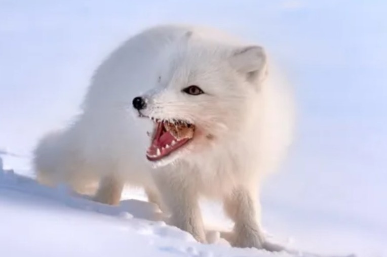 Та самая бабка на лавочке  увидела, что ты прошел мимо нее: