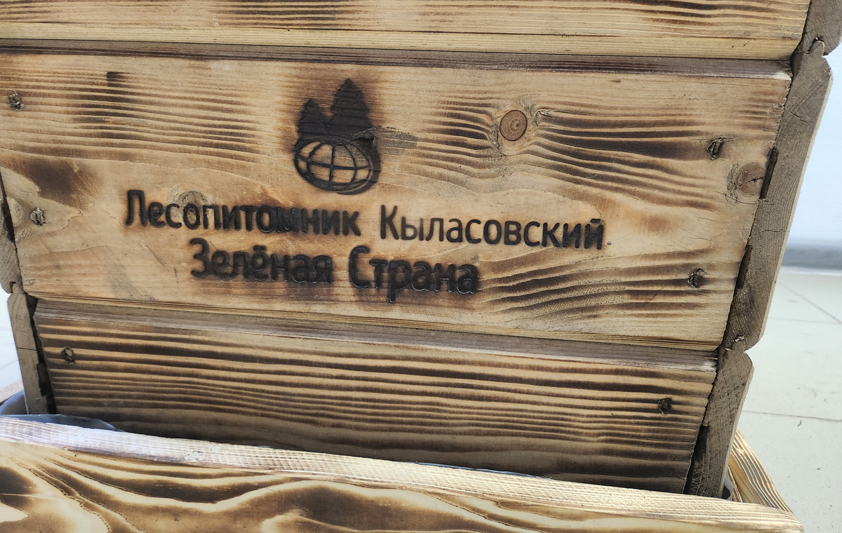 Компания разработала свой дизайн горшков для ёлок