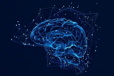 Как формируются нейронные связи в молодости