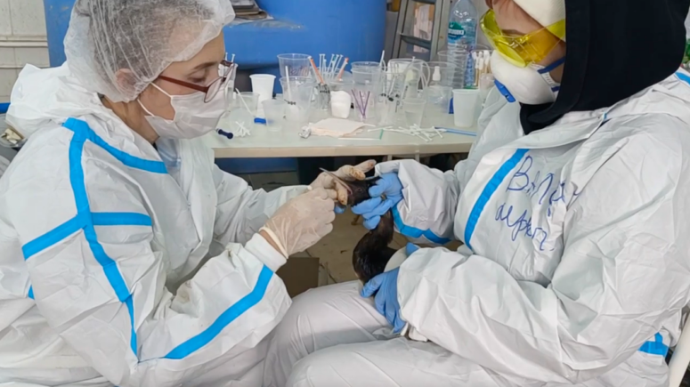    Кадр из видео / t.me/opershtab23