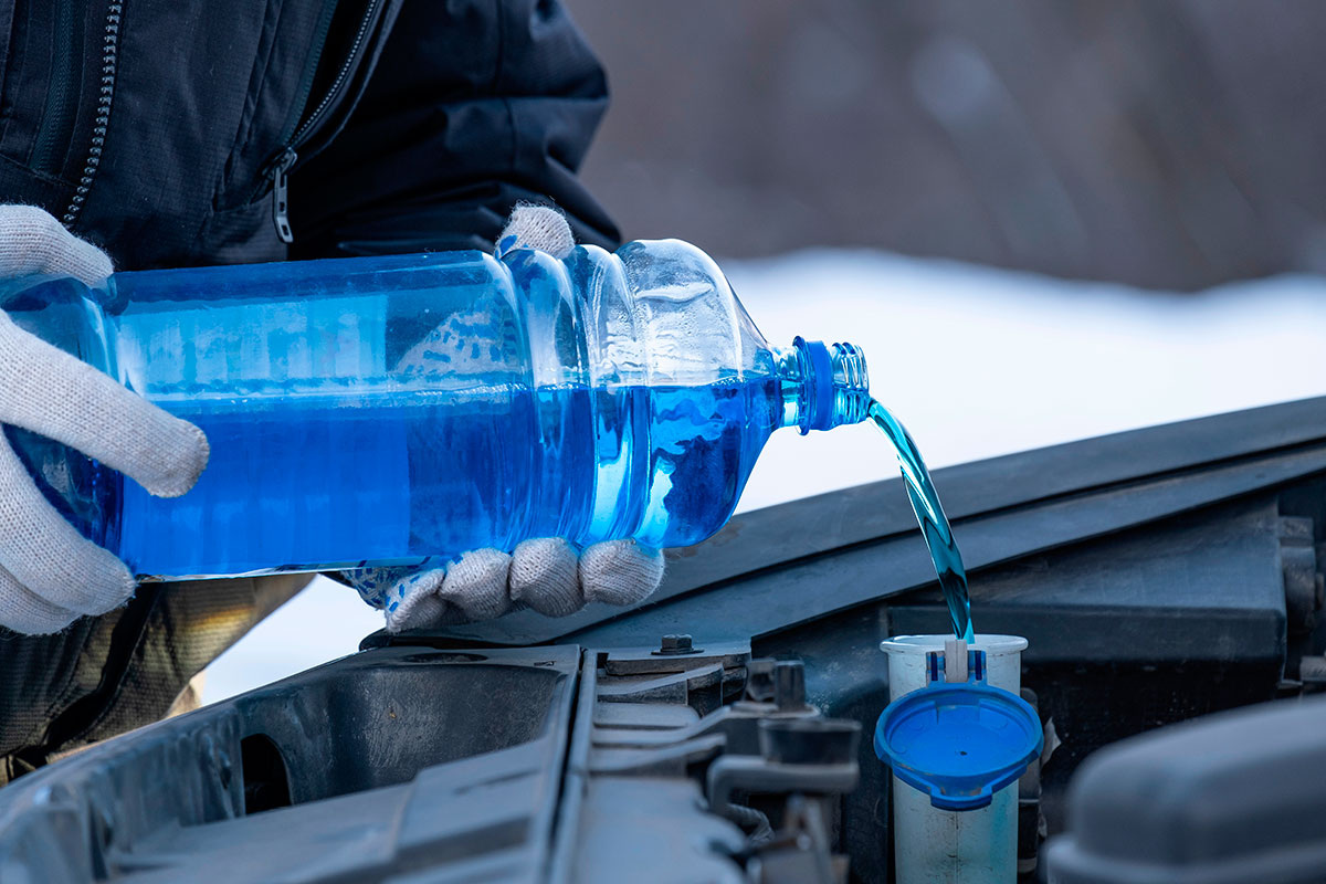    Фото: Sergey Dudikov / Shutterstock.com