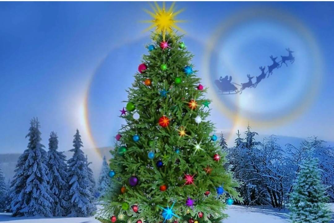 Новогодняя ёлка. 