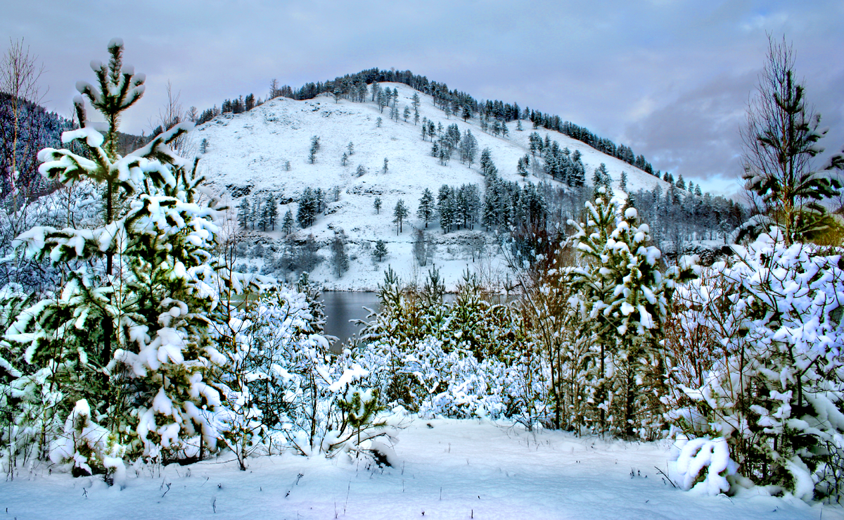 Фотография, стихотворение Василия Глуцкого