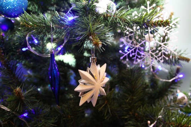   Фото из архива Калининград.Ru