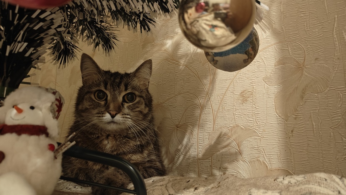 С Новым Годом (а в случае с годом змеи - ГАДОМ!))))