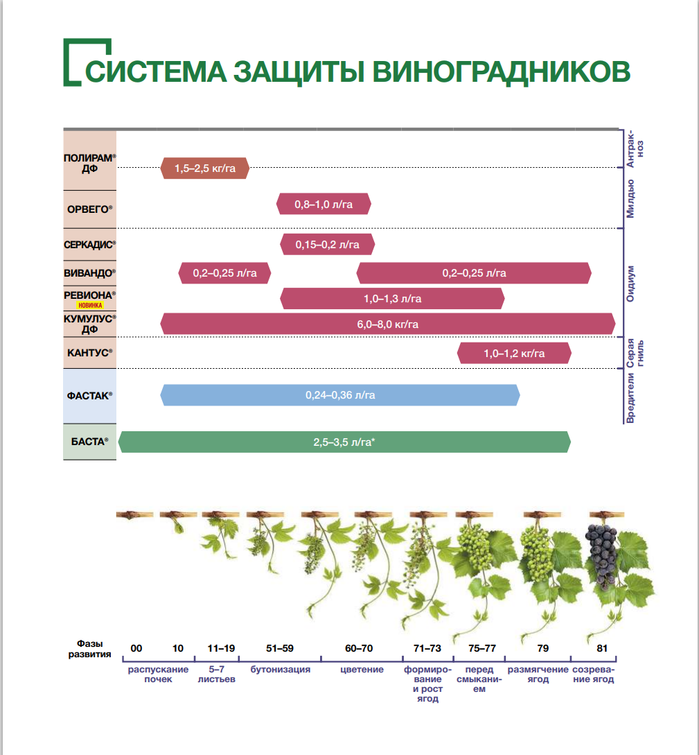 Скриншот с сайта BASF 