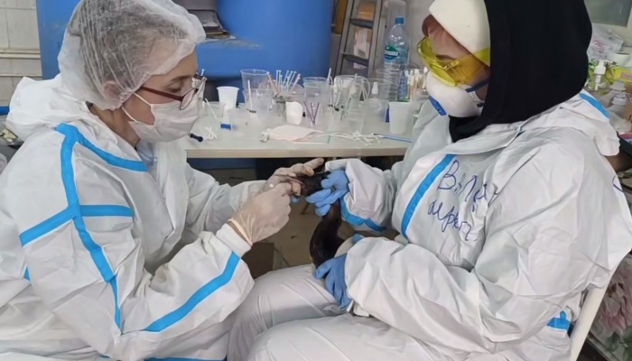    оперативный штаб Краснодарского края