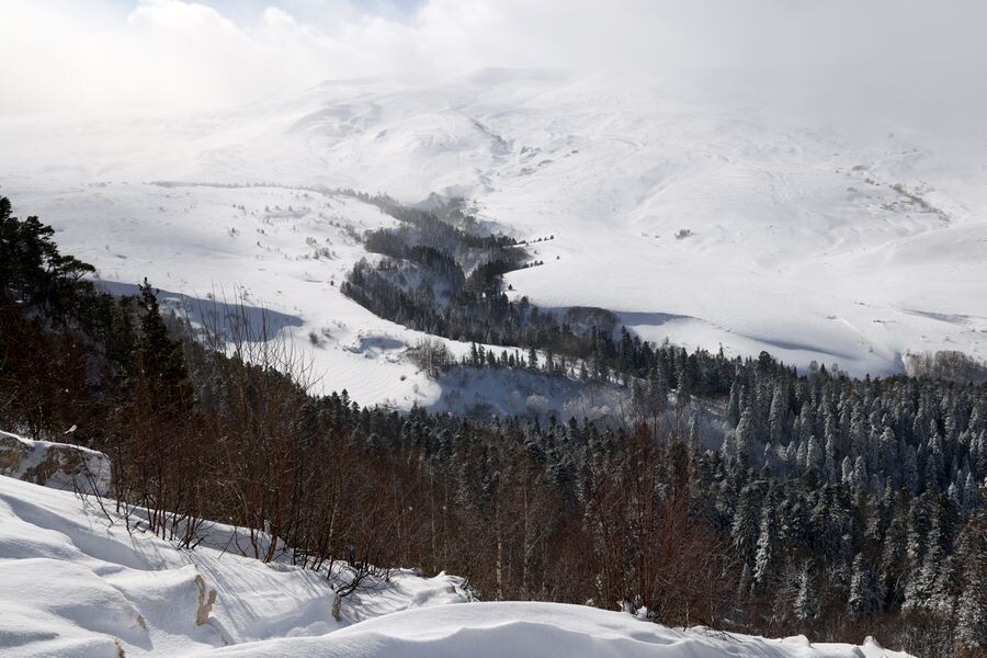     / Источник: © Дмитрий Феоктистов/ТАСС