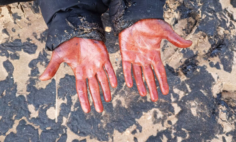    Фото Юлии Симатовой, «Кубань 24»