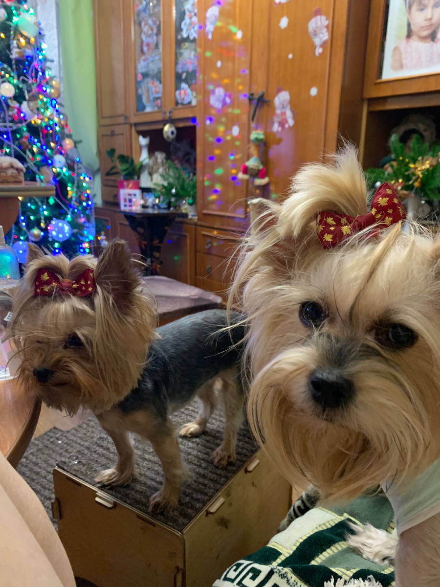 Готовимся к встрече Нового Года!