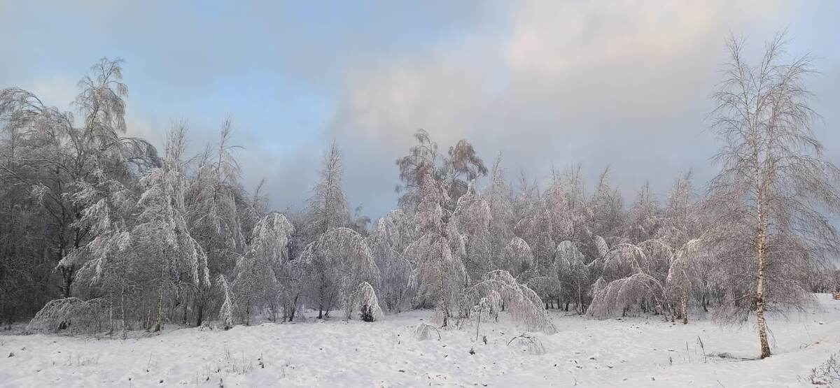 Фото друга семьи, Османа Байрамова. Брянская область.