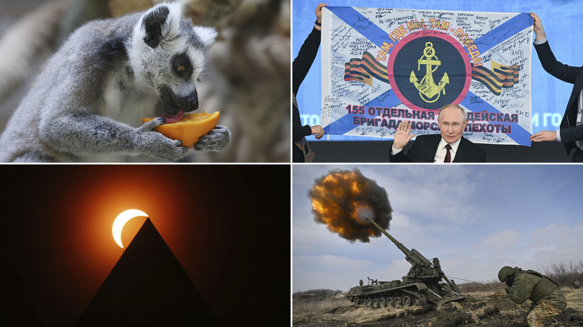    РИА Новости / Getty Images