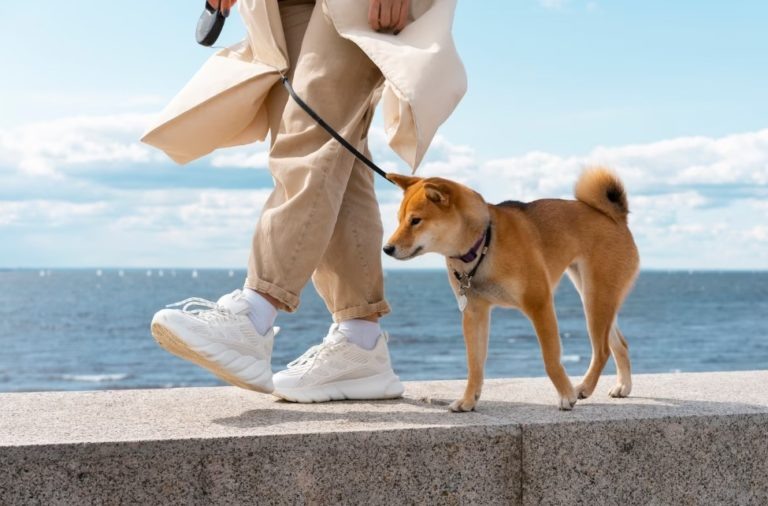    Фото: freepik.com Илья Мартов