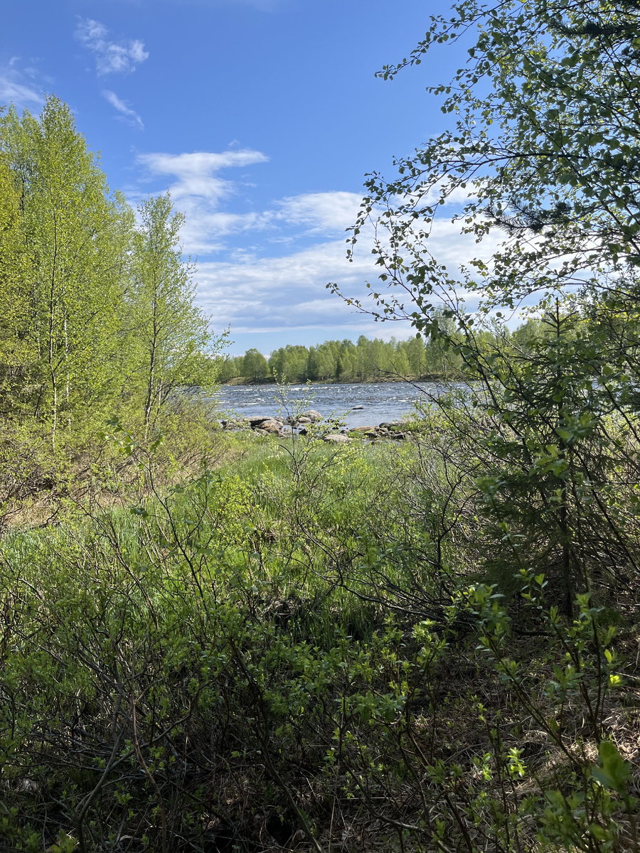 Путь к горной реке
