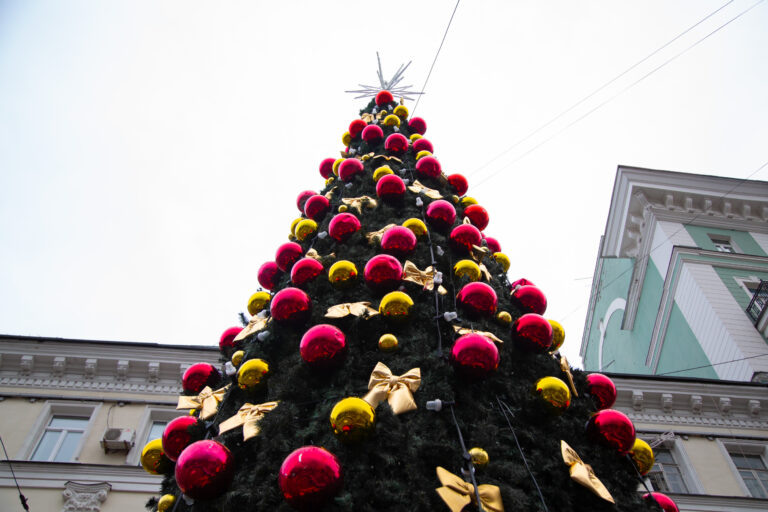    Фото: Общественная Служба Новостей Илья Мартов