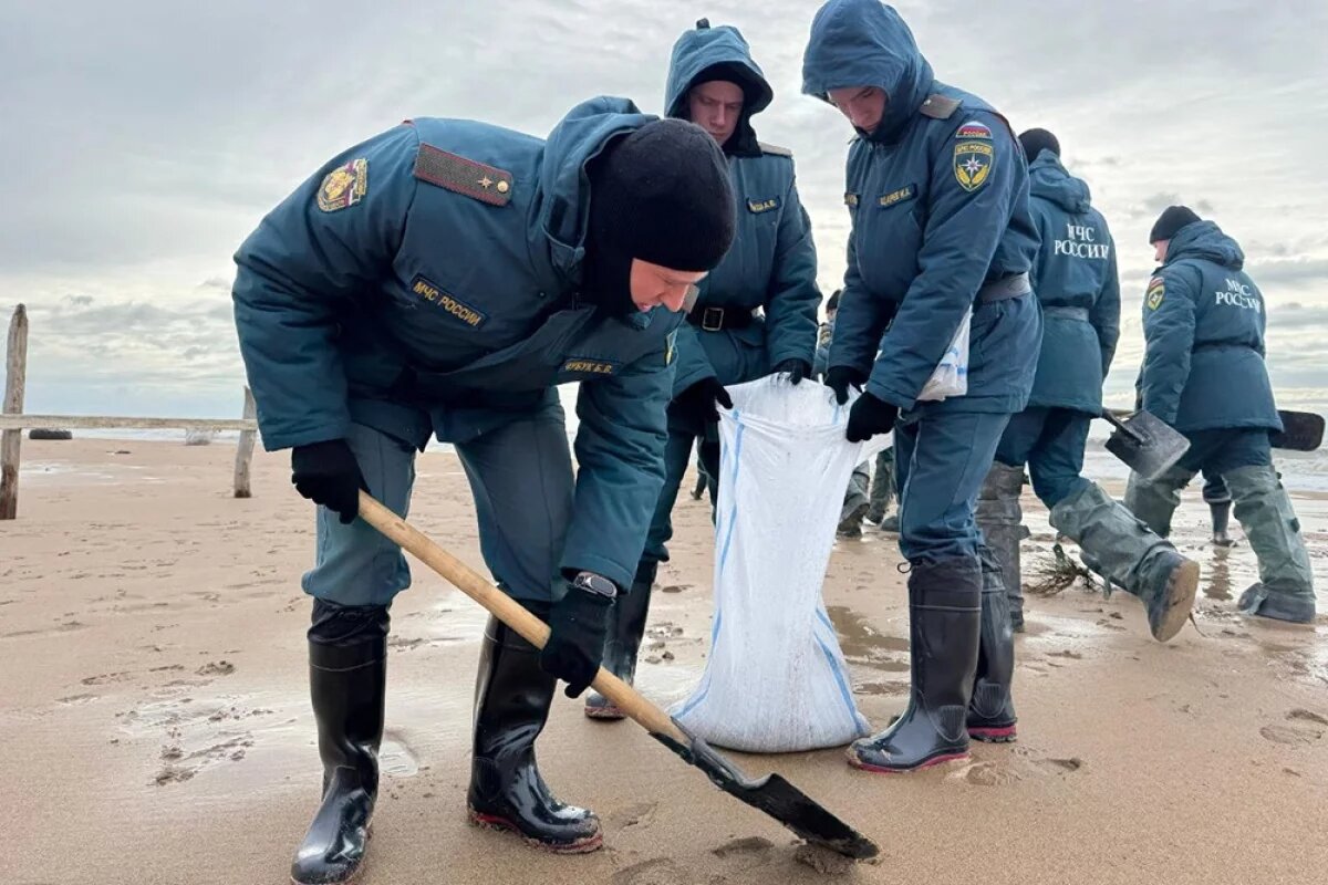   Пляжи Кубани 31 декабря будут очищать от мазута в сокращенном режиме
