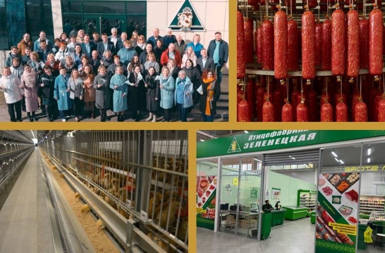    Мясные деликатесы и врачебная амбулатория в подарок: Зеленецкая птицефабрика в Коми подводит итоги 2024