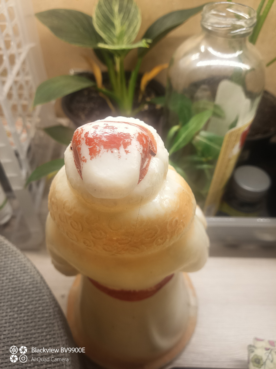 Заслуженный колпак