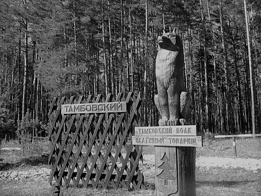 Памятник Тамбовскому волку.