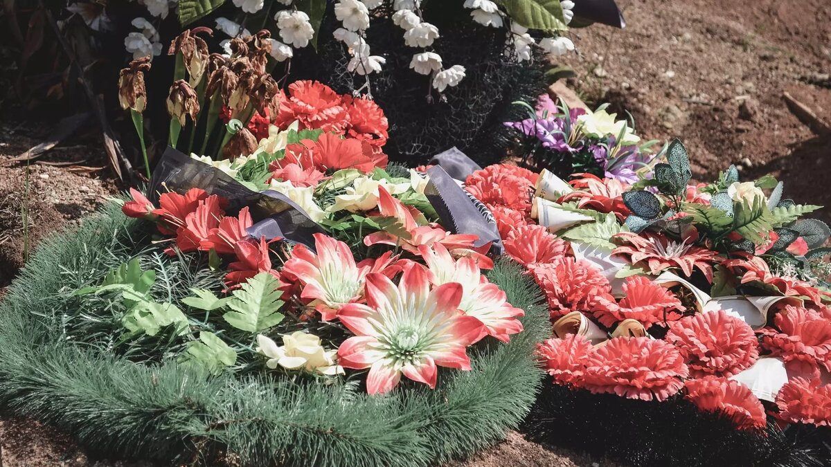     Источник: 1MI