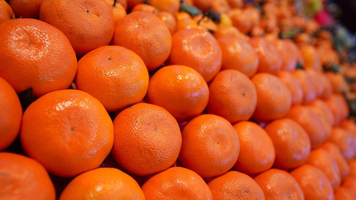    Фото: Александр Авилов / АГН Москва