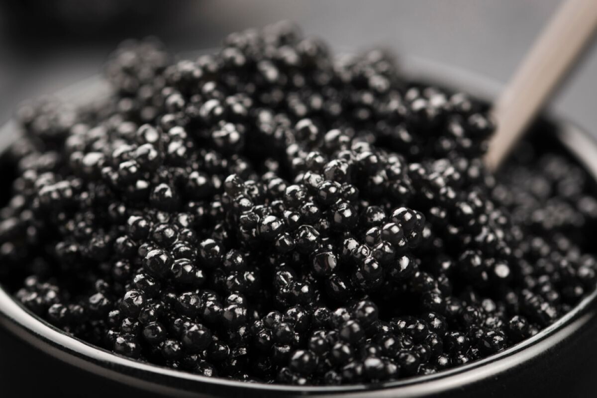 Фото: freepik.com