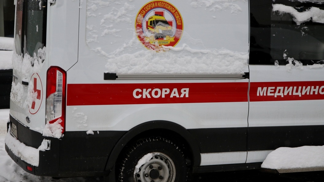    Максим Константинов/Globallookpress