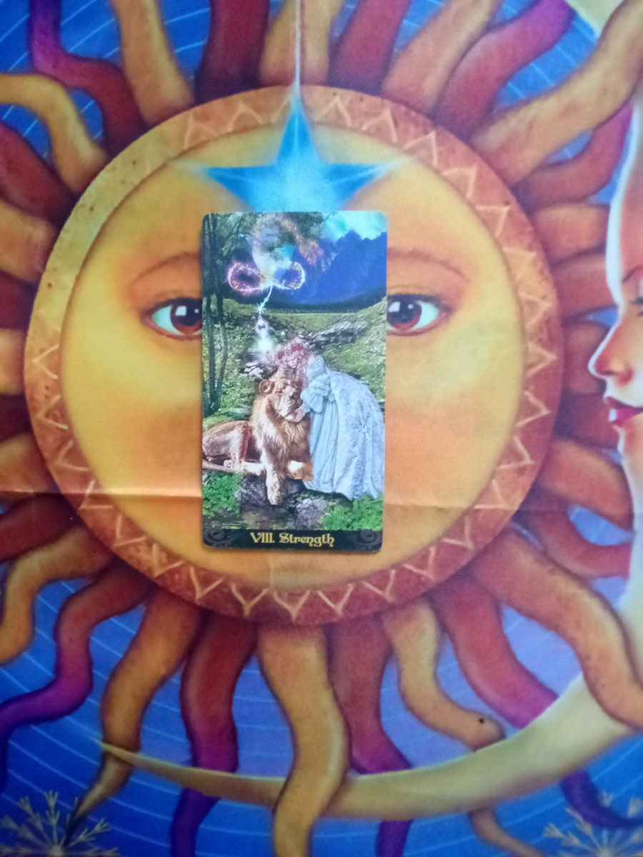 Авторское фото 