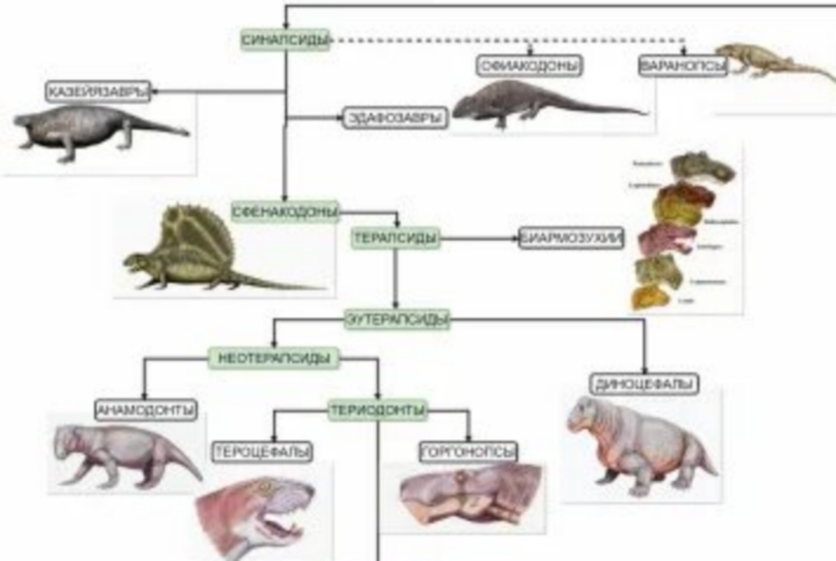 Очень шакальная картинка, но суть передаёт.