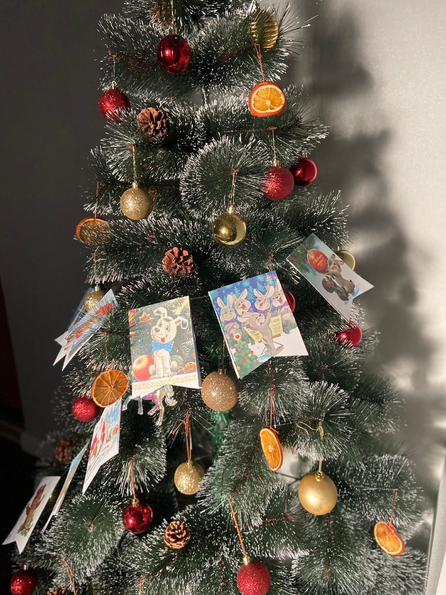 В свете редкого погодного явления она особенно хороша 