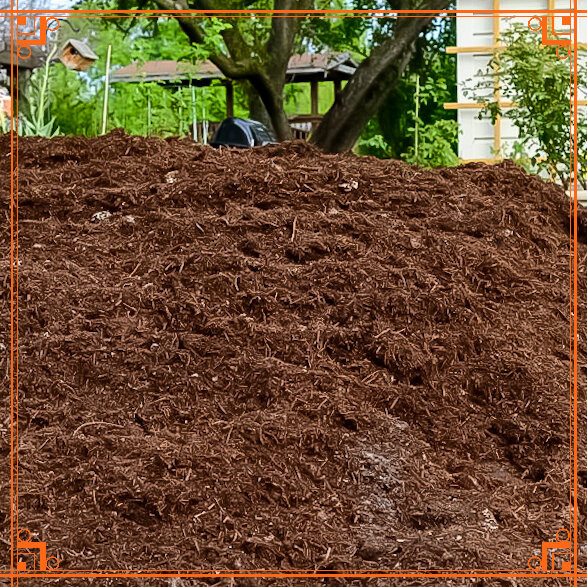 Фото из Интернета. Что такое компост