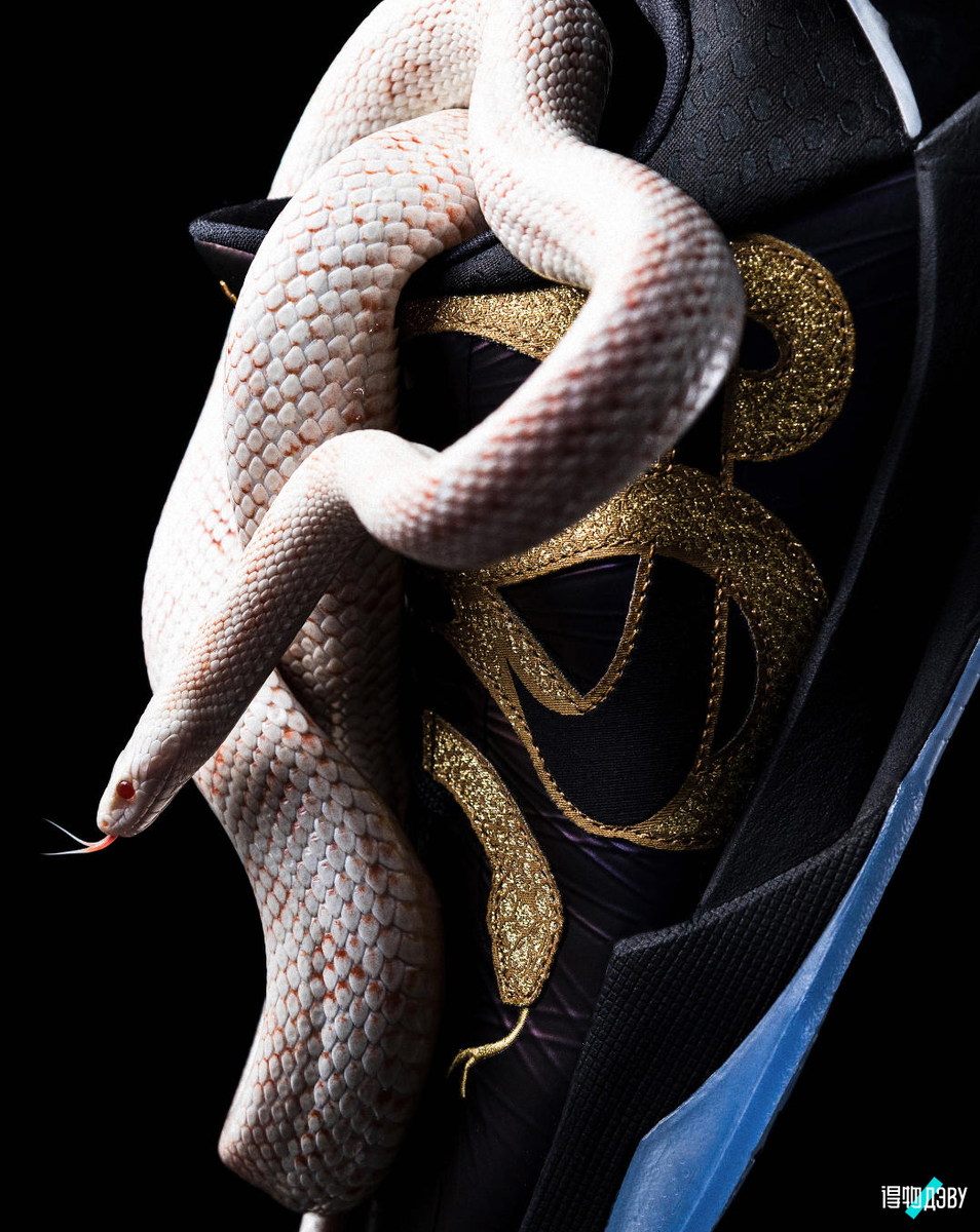 ДЭВУ журнал |  🐍Год змеи: Золотая удавка обвивает Swoosh 