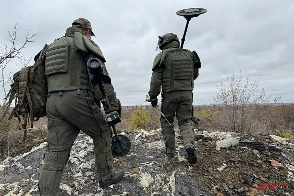    Военный инженер Кочергин описал риски работы сапёра в зоне СВО