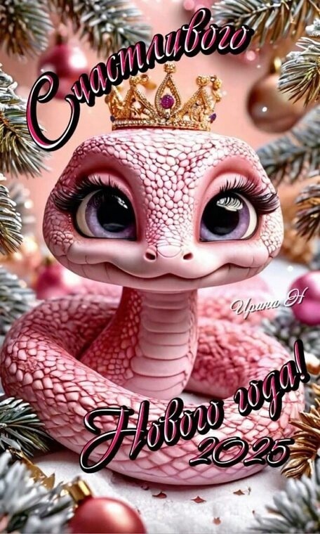 Фото из интернета.