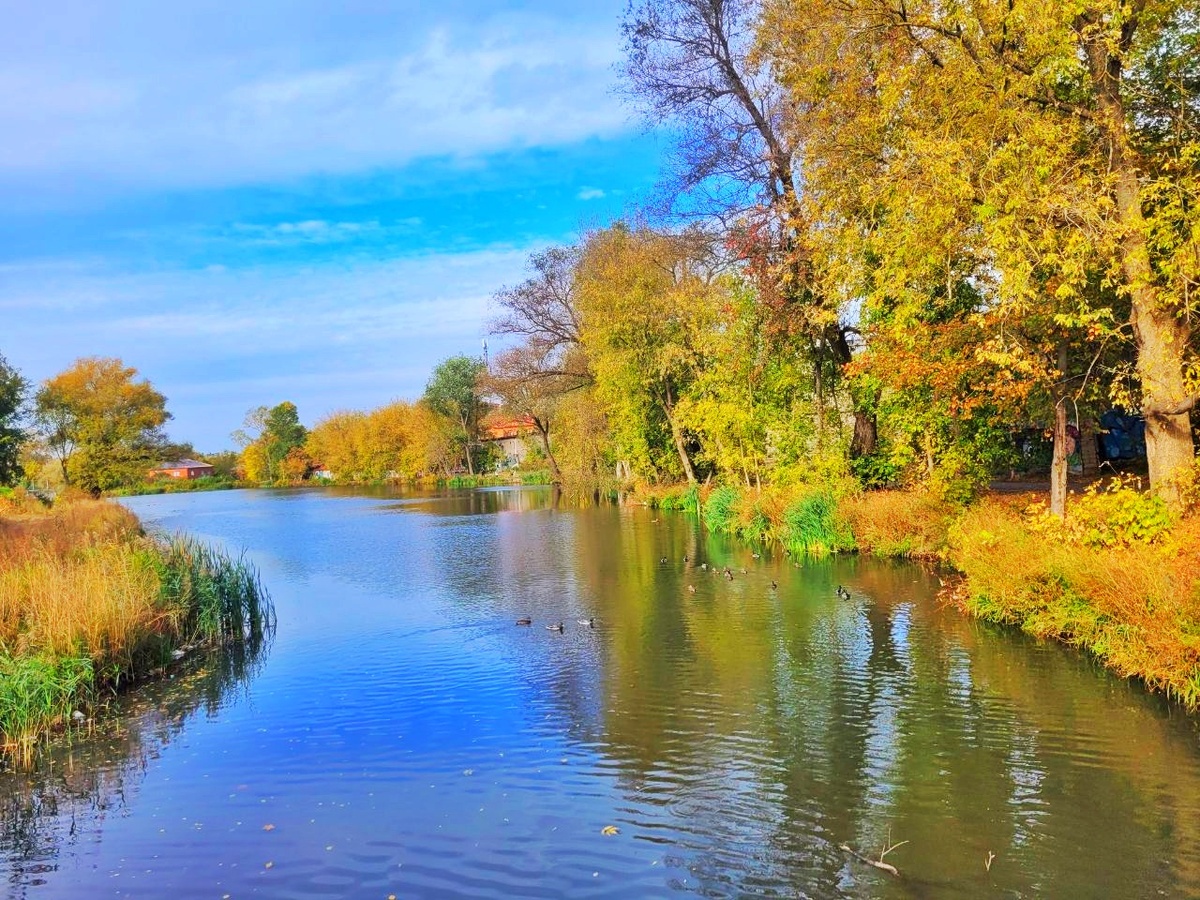 Река Гуслица, протекающая по центру Егорьевска