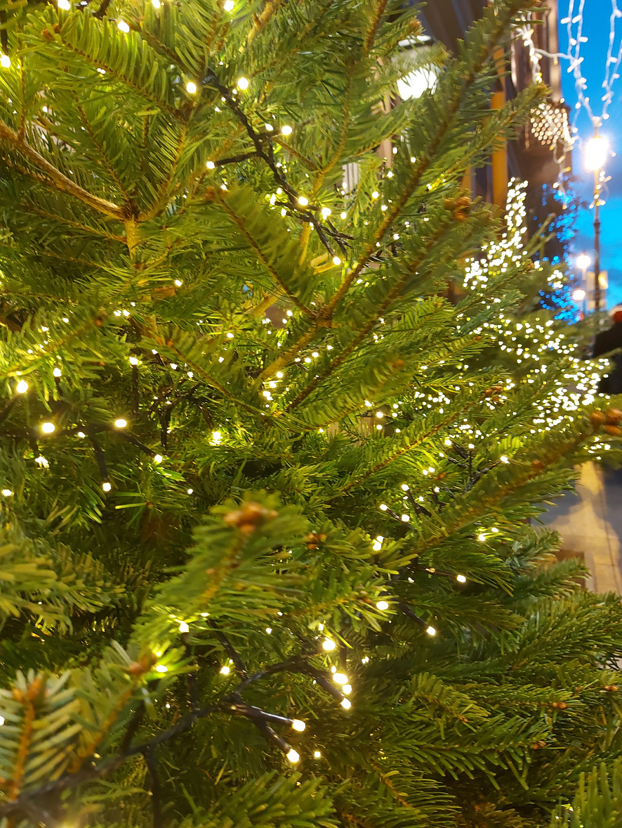 Новогодние огни