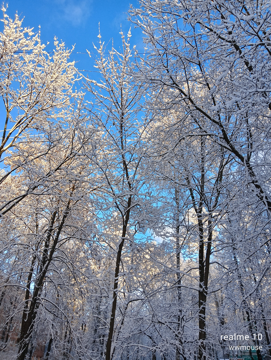 Внезапно вышло солнышко.... 