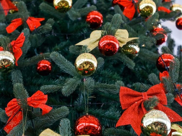     © Фото: ИД «Волгоградская правда» / архив