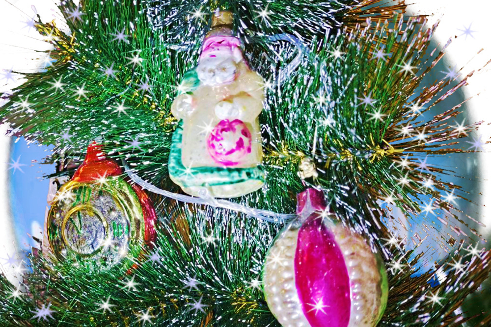    Фото: АиФ/ Татьяна Лазарева