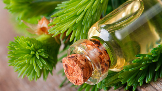    Запах праздника: как усилить аромат новогодней елки и сохранить его надолго Ирина Петрова