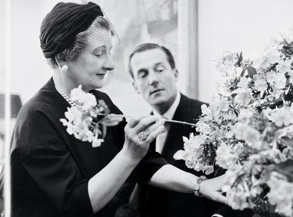 Роза названа в честь леди Джулии Клементс (англ. Julia Clements, 1906-2010).5