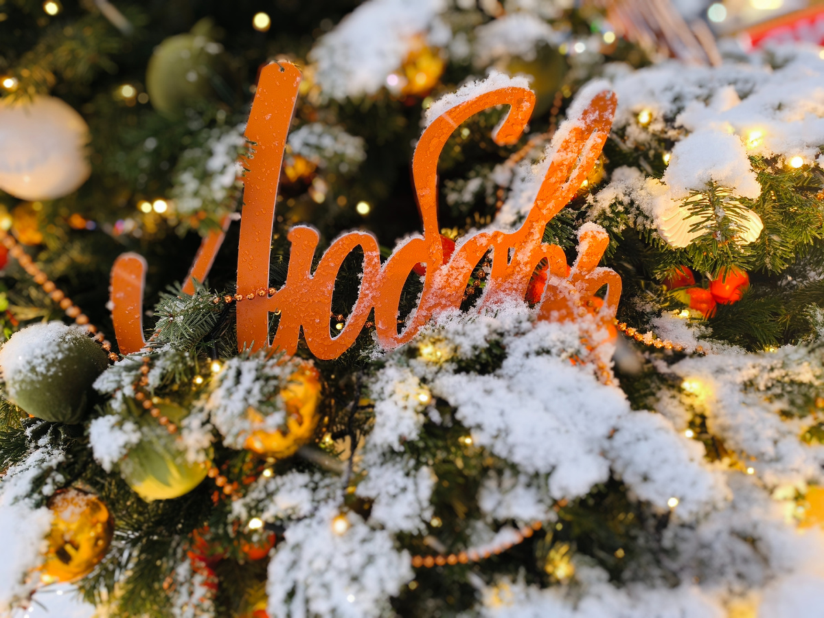 Все фото автора статьи.