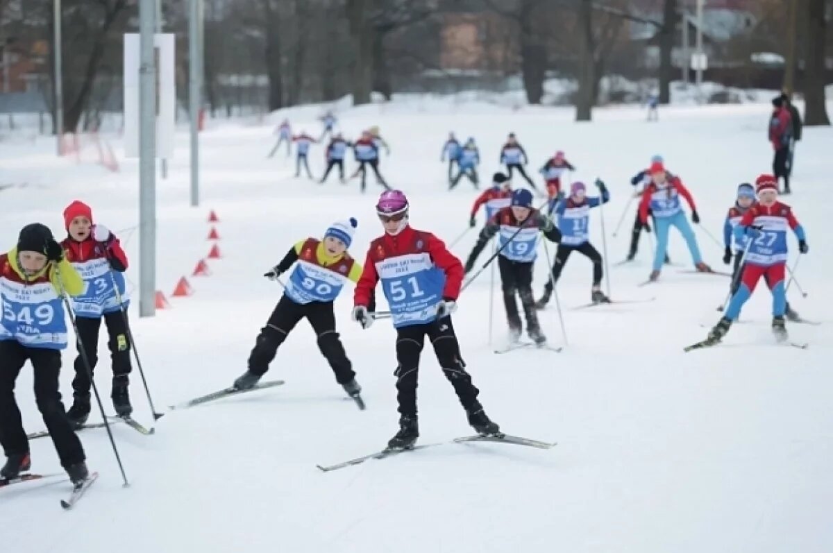    Туляки смогут спортивно провести новогодние праздники