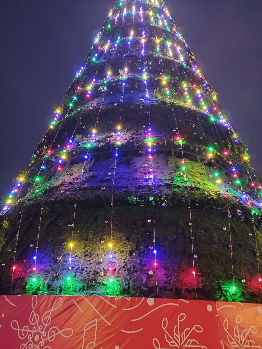 Фото из личного архива автора. 