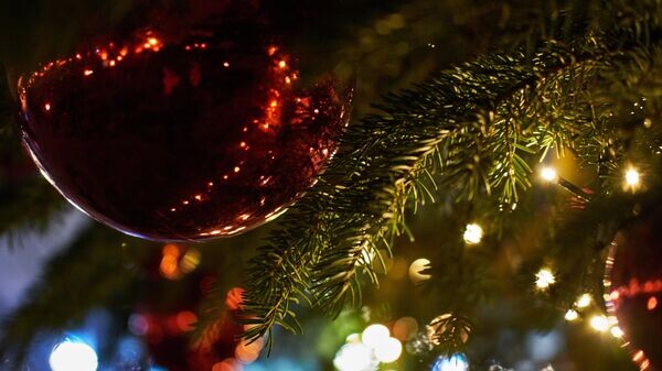    © Sputnik / Алексей Даничев