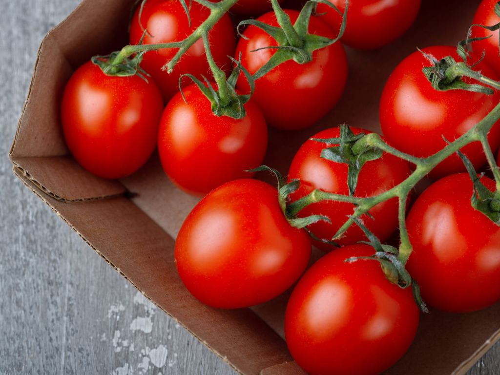 Не надо отрывать веточки в зале, зачем портить товарный вид?