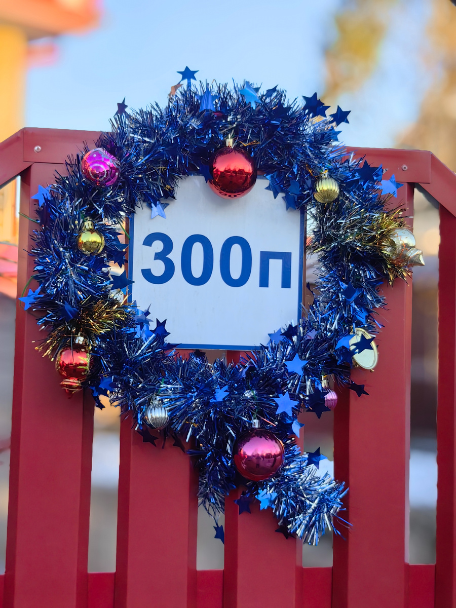 Настоящие игрушки 