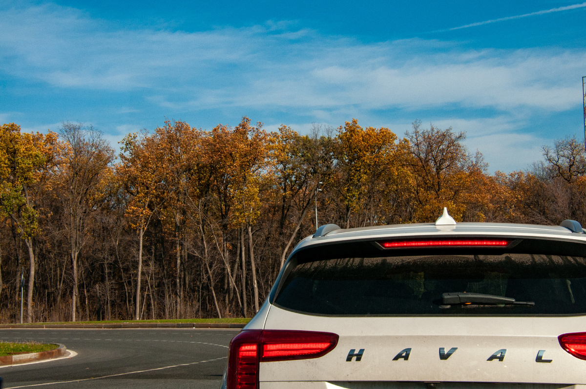 © Svetlana Vozmilova/Global Look Press