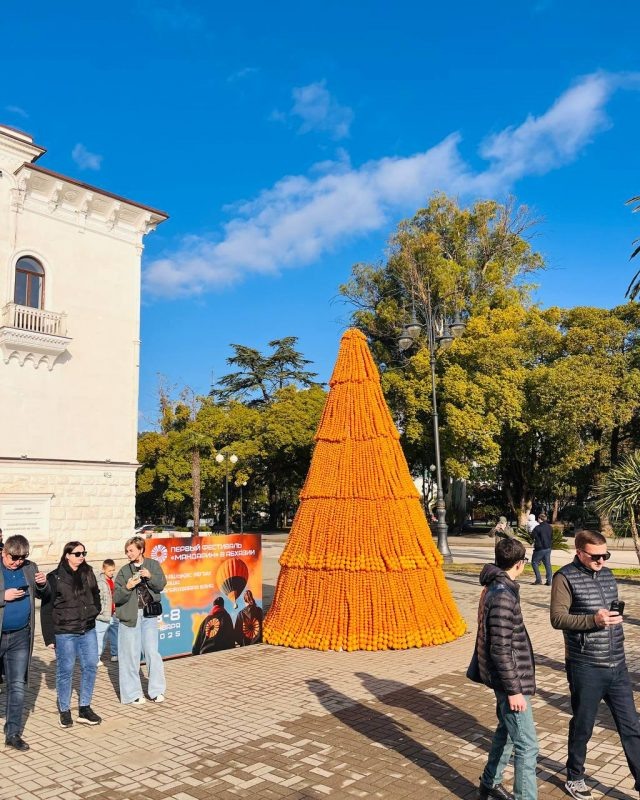    Оранжевая елка из мандаринов в Сухуме.