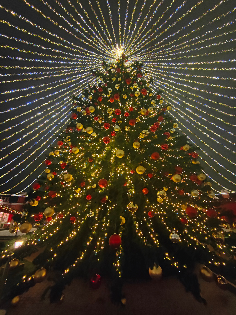 фото автора Елены М.